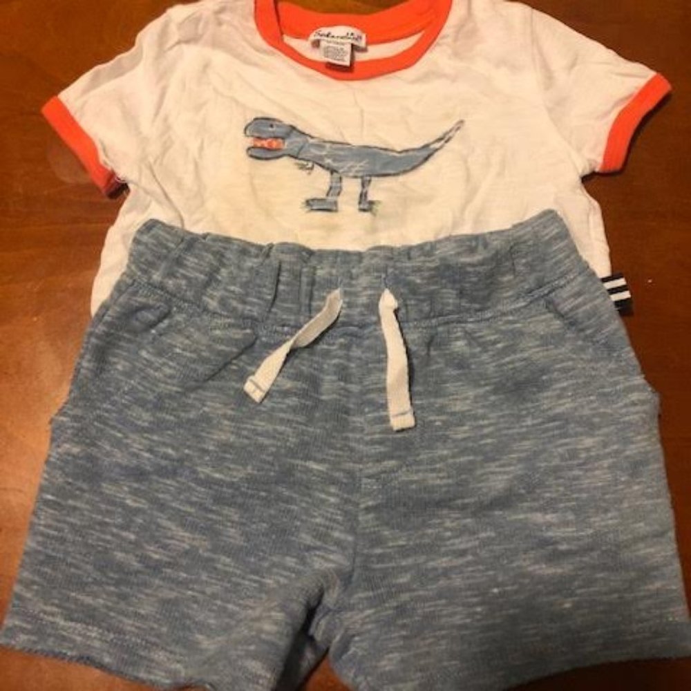 12-18 mo Splendid Dinosaur Shortsleeve outfit